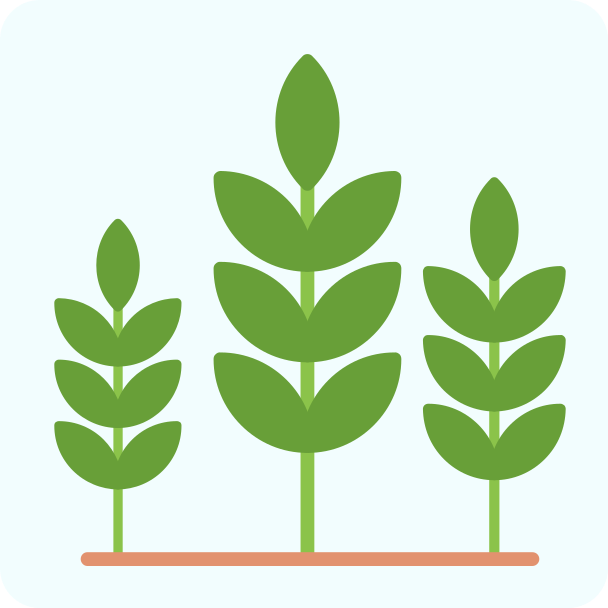 sprouts icon